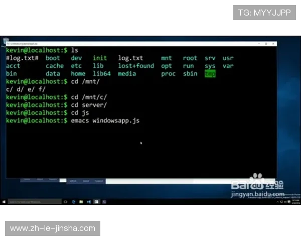 PS5游戏安装与应用程序更新详解全面指南